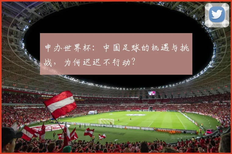 申办世界杯：中国足球的机遇与挑战，为何迟迟不行动？