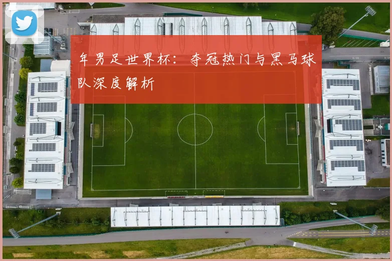 年男足世界杯:夺冠热门与黑马球队深度解析